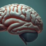 Neurociência da fome