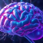 Neuroplasticidade e dieta